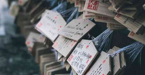 坚果加速器付钱吗,坚果加速器怎么样